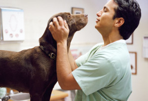 dog-with-vet2