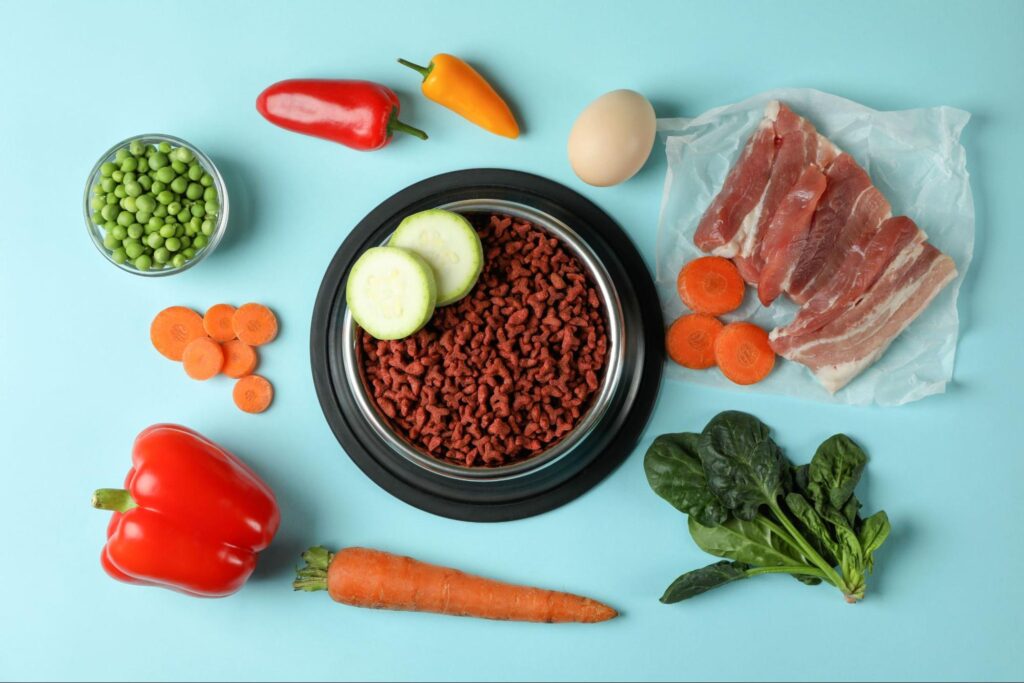 aerial view on blue background of many types of dog food 