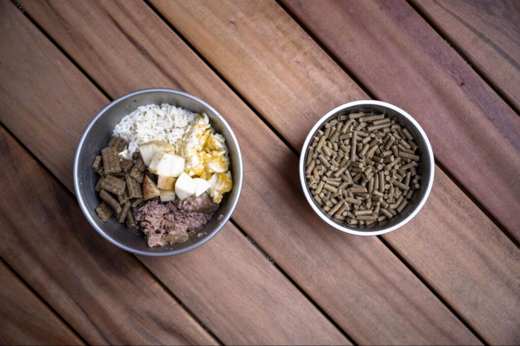  aerial view of two bowls of dog food on top of wood deck 