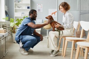 vet, dog and dog owner in vet waiting room